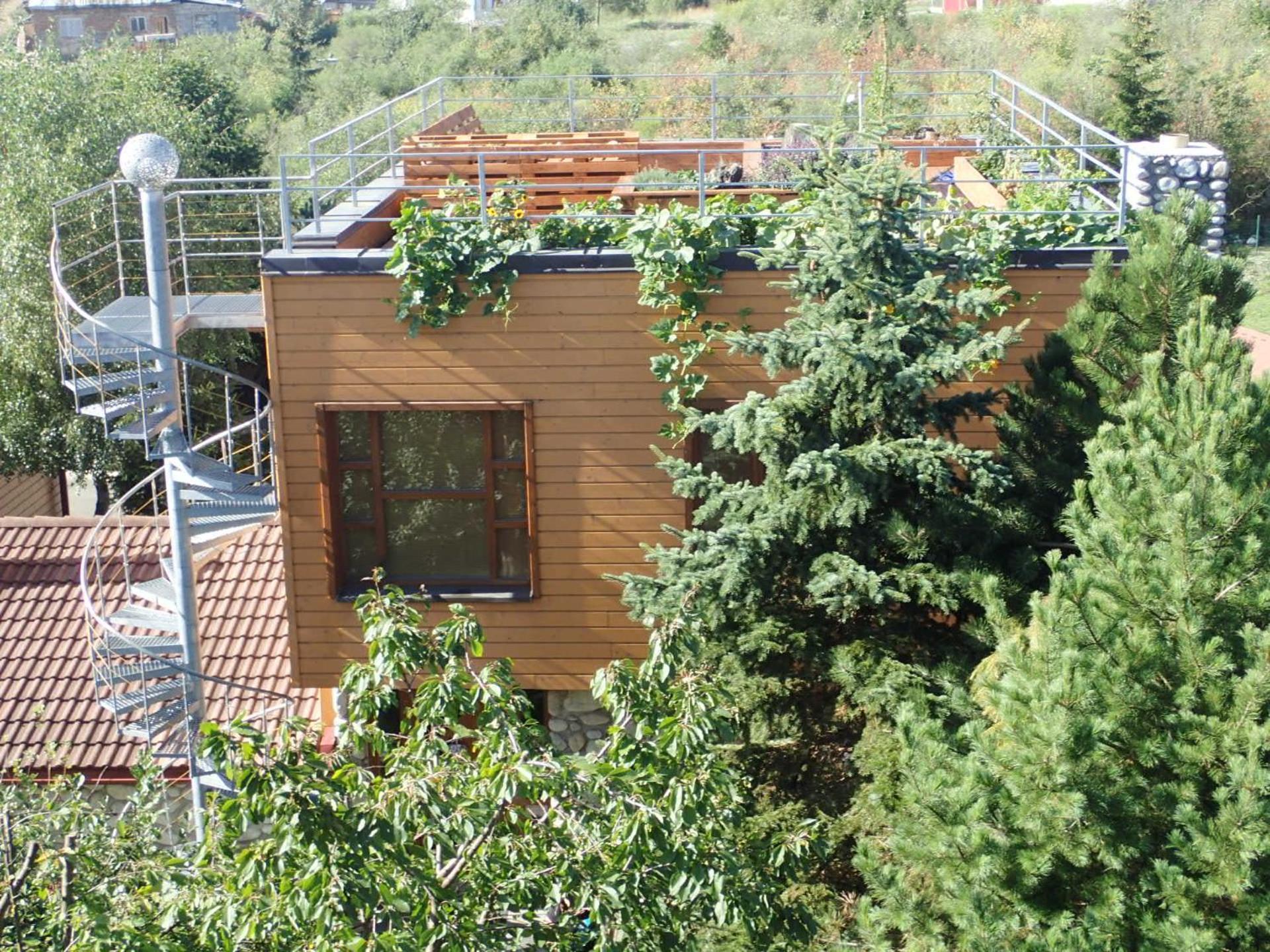 Family House - Apartmany Zuzana Stara Lesna Exterior foto