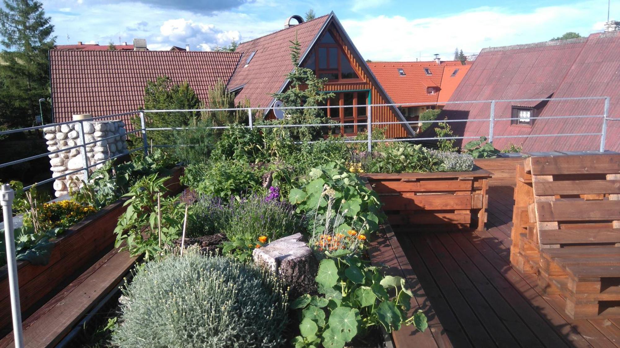 Family House - Apartmany Zuzana Stara Lesna Exterior foto